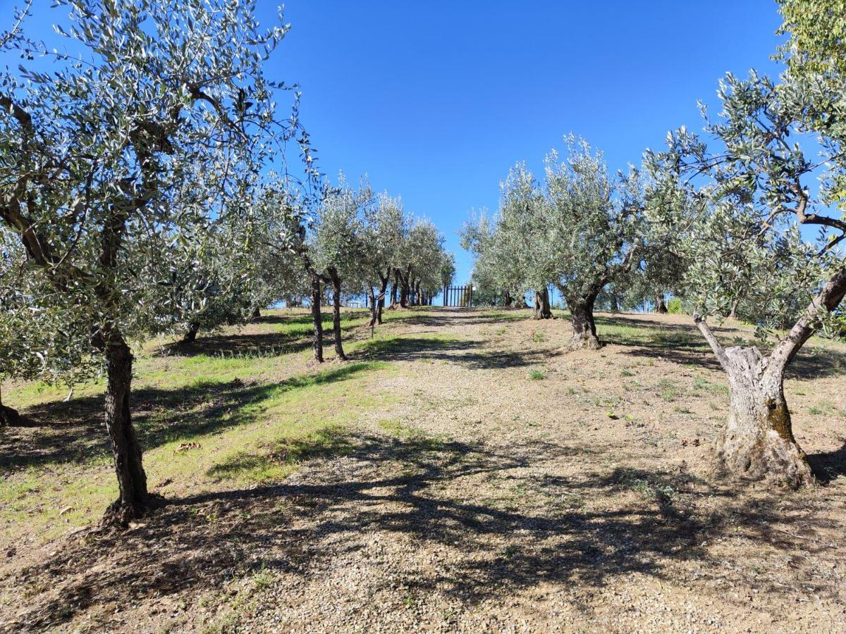 Agriturismo Sommassa เกรเว อิน เคียนตี ภายนอก รูปภาพ